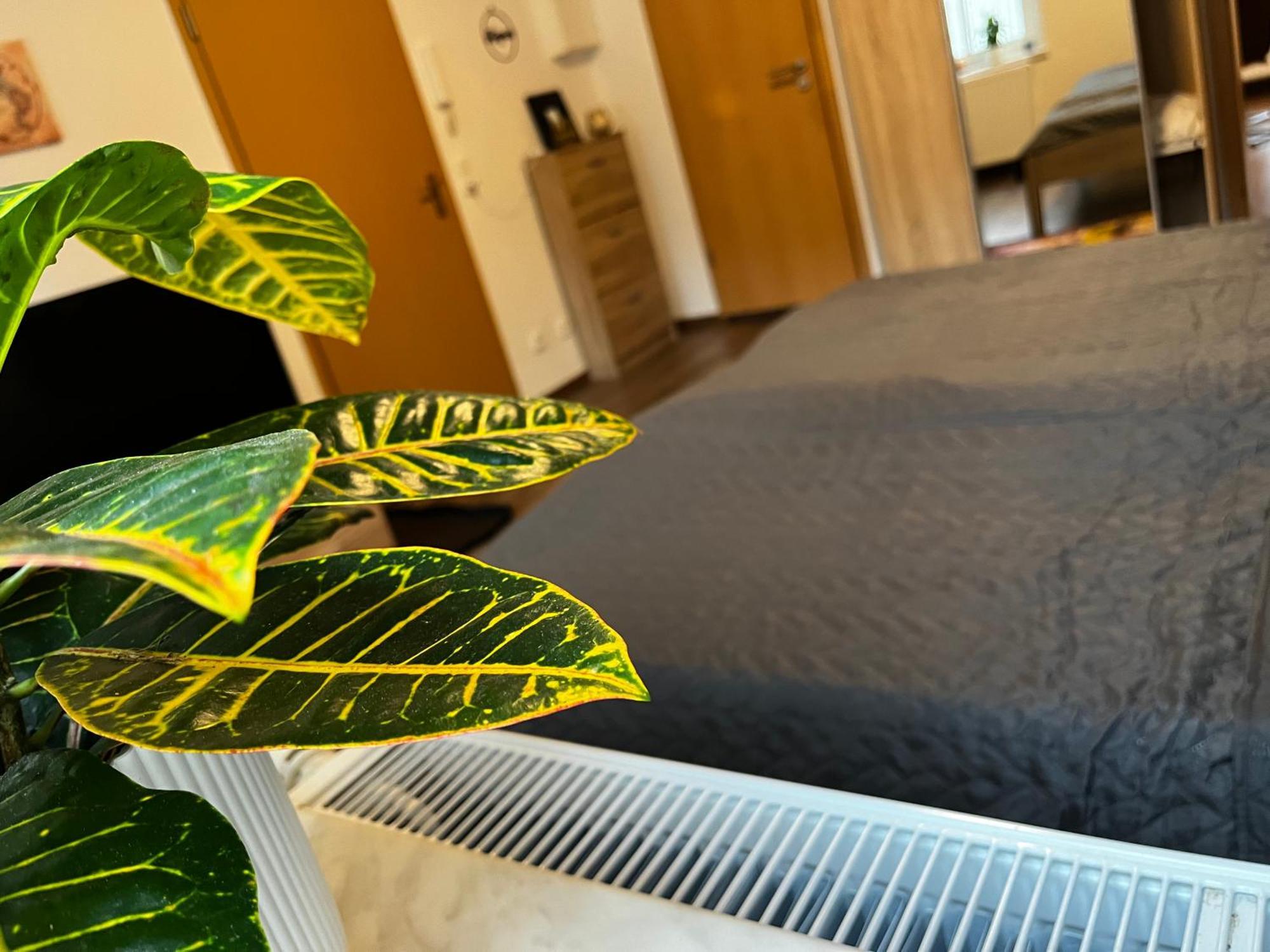 Karli'S Plaetzchen Apartment Гера Екстериор снимка